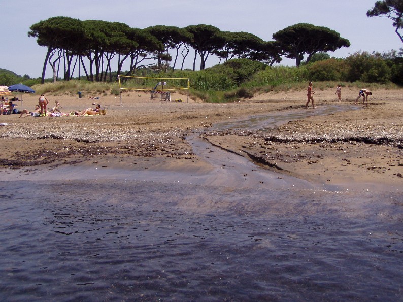 I fossi e lo stagno di Baratti (Piombino - LI)